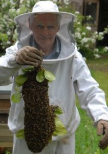Dr Andrew Szydlo - Bee Keeping 